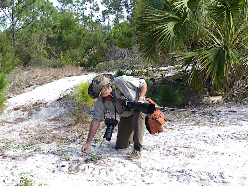 !!george bollis copy