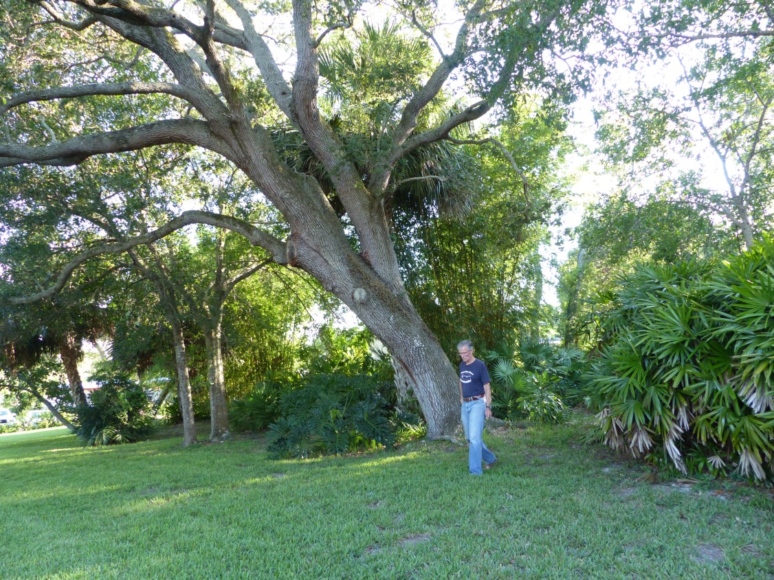 tim glover &amp; live oak