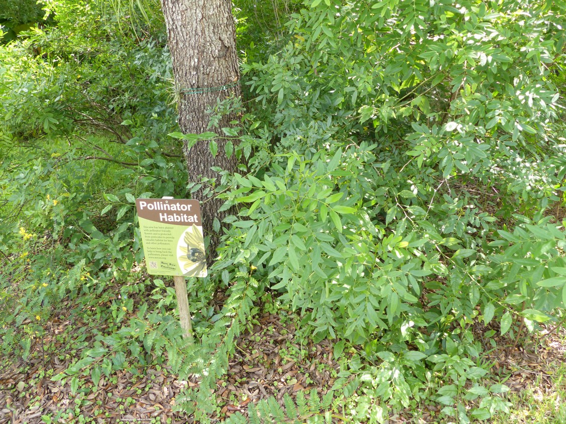 pollinator habitat2