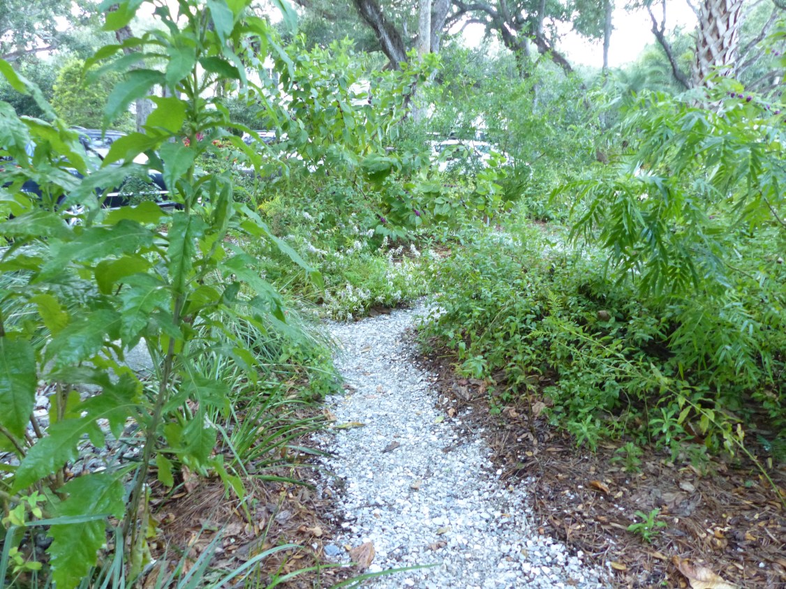 pathway