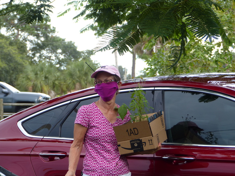 !!fran robinson w auction plants copy