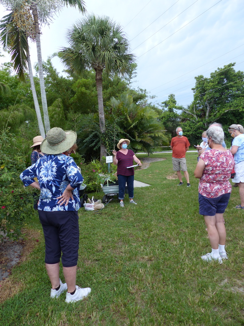 !!reva burgnoli copy